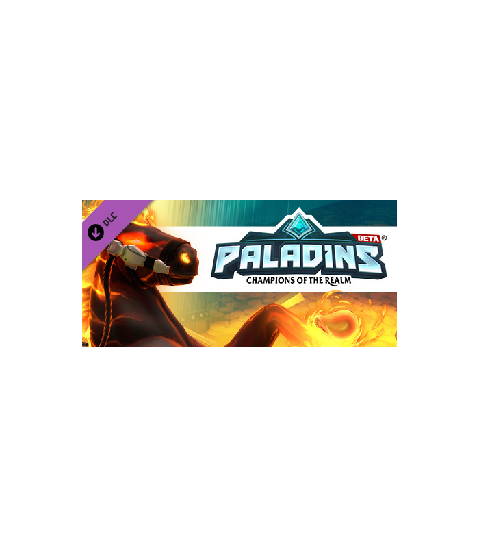 Paladins Founder's Pack - 1