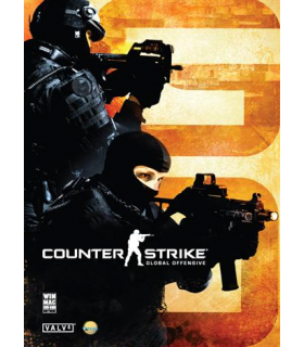 اکانت استیم CSGO تایم پلی 200 تا 500 ساعت - 1
