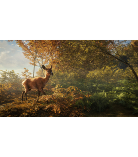 theHunter: Call of the Wild - 4
