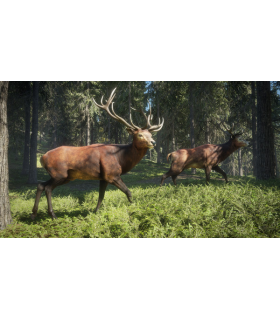 theHunter: Call of the Wild - 5