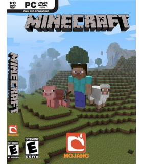 MINECRAFT JAVA EDITION - 1