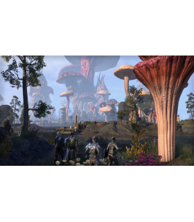 The Elder Scrolls Online - Morrowind Upgrade - 6