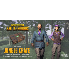 Twitch Prime PUBG Pack - 2