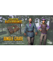 Twitch Prime PUBG Pack - 2