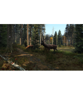 DAYZ - 6