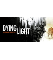 Dying Light The Following Enhanced Edition STEAM - 5