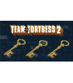خرید کلید بازی Mann Co | Team Fortress 2 - 1