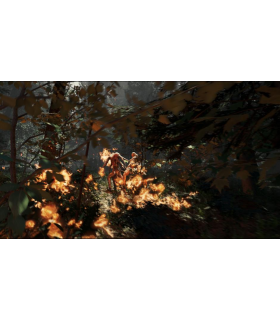 THE FOREST - 2