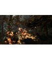 THE FOREST - 2