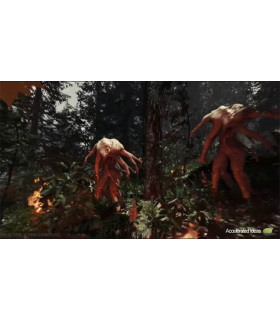 THE FOREST - 3