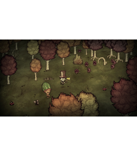 Dont Starve Together - 4